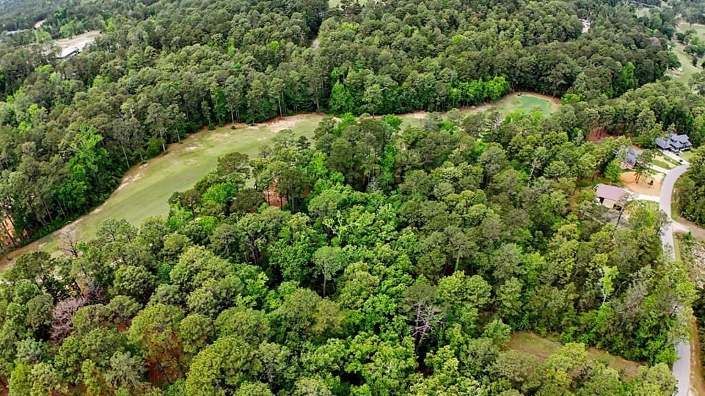 0.59 acres in Texas County - photo 7