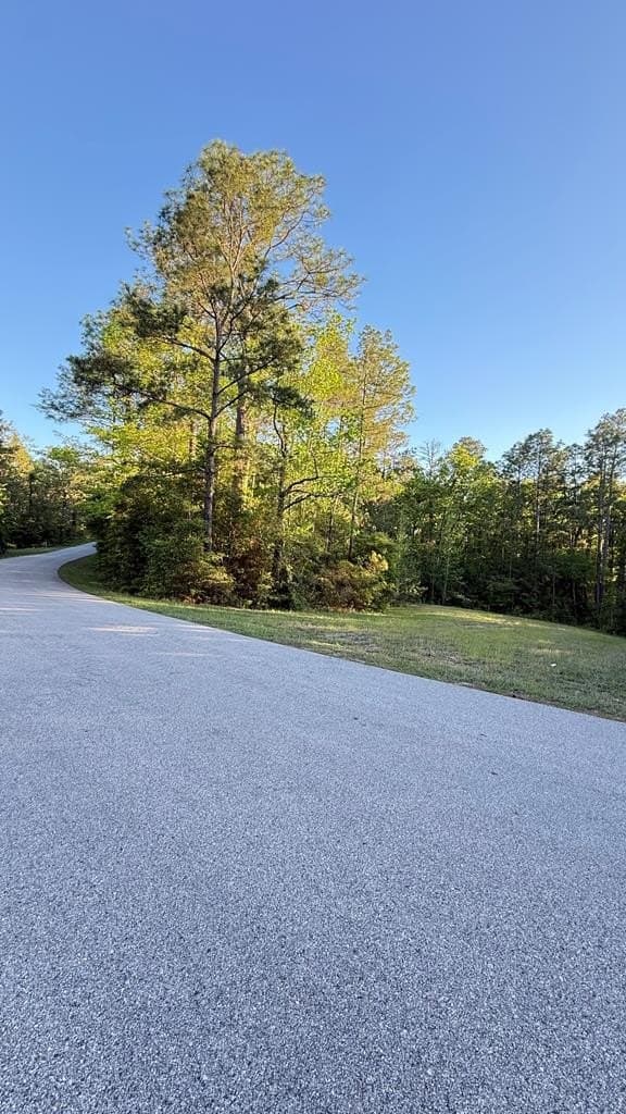 0.59 acres in Texas County gallery image 3