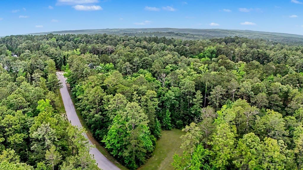 0.59 acres in Texas County - photo 8