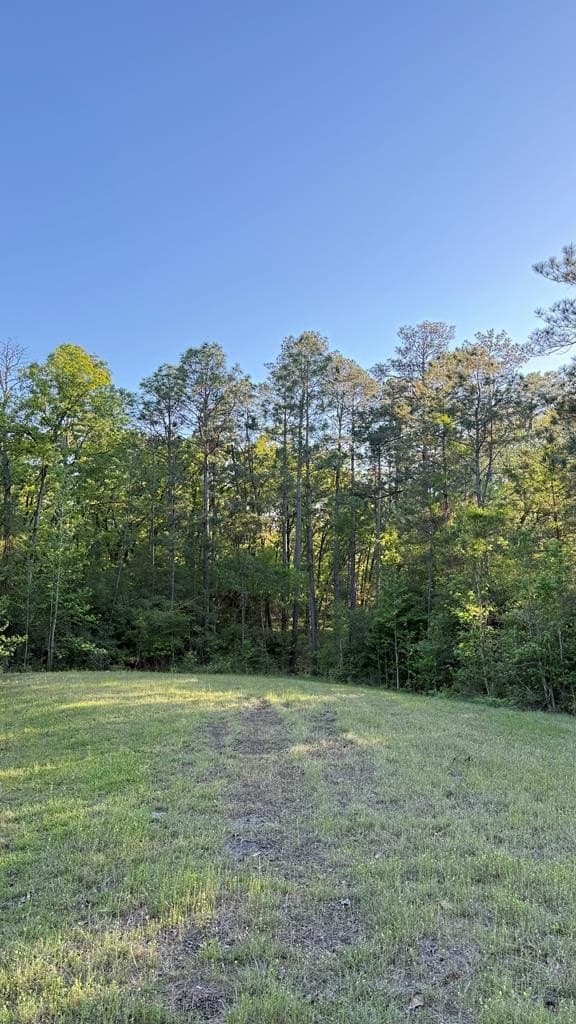 0.59 acres in Texas County gallery image 4
