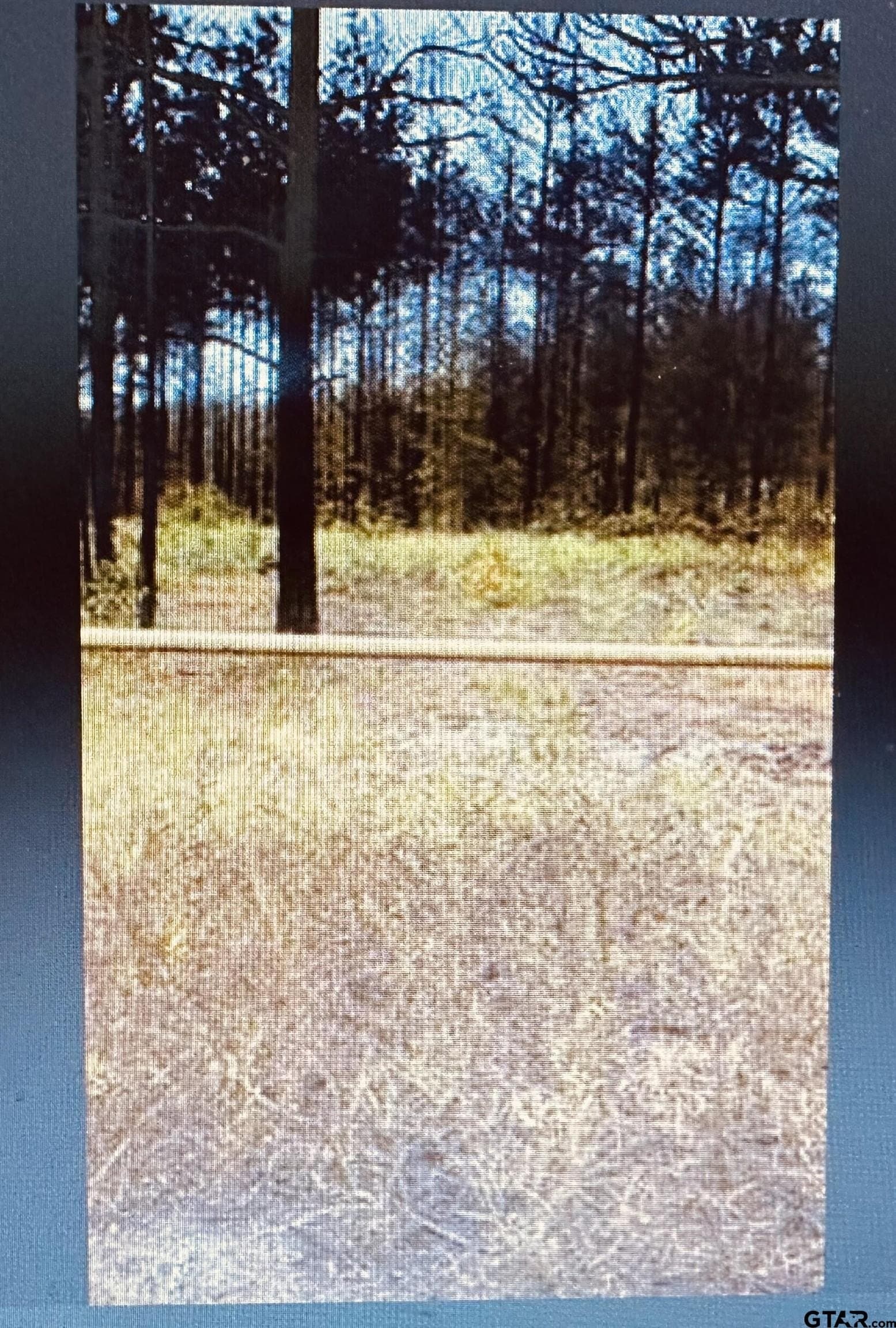6 acres in Rusk County gallery image 2