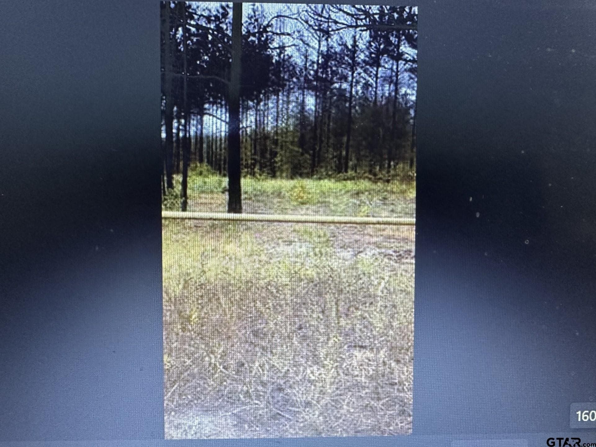 6 acres in Rusk County gallery image 3