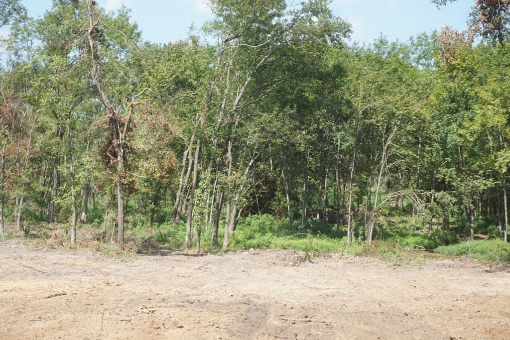 5.07 acres in ANDERSON County gallery image 4