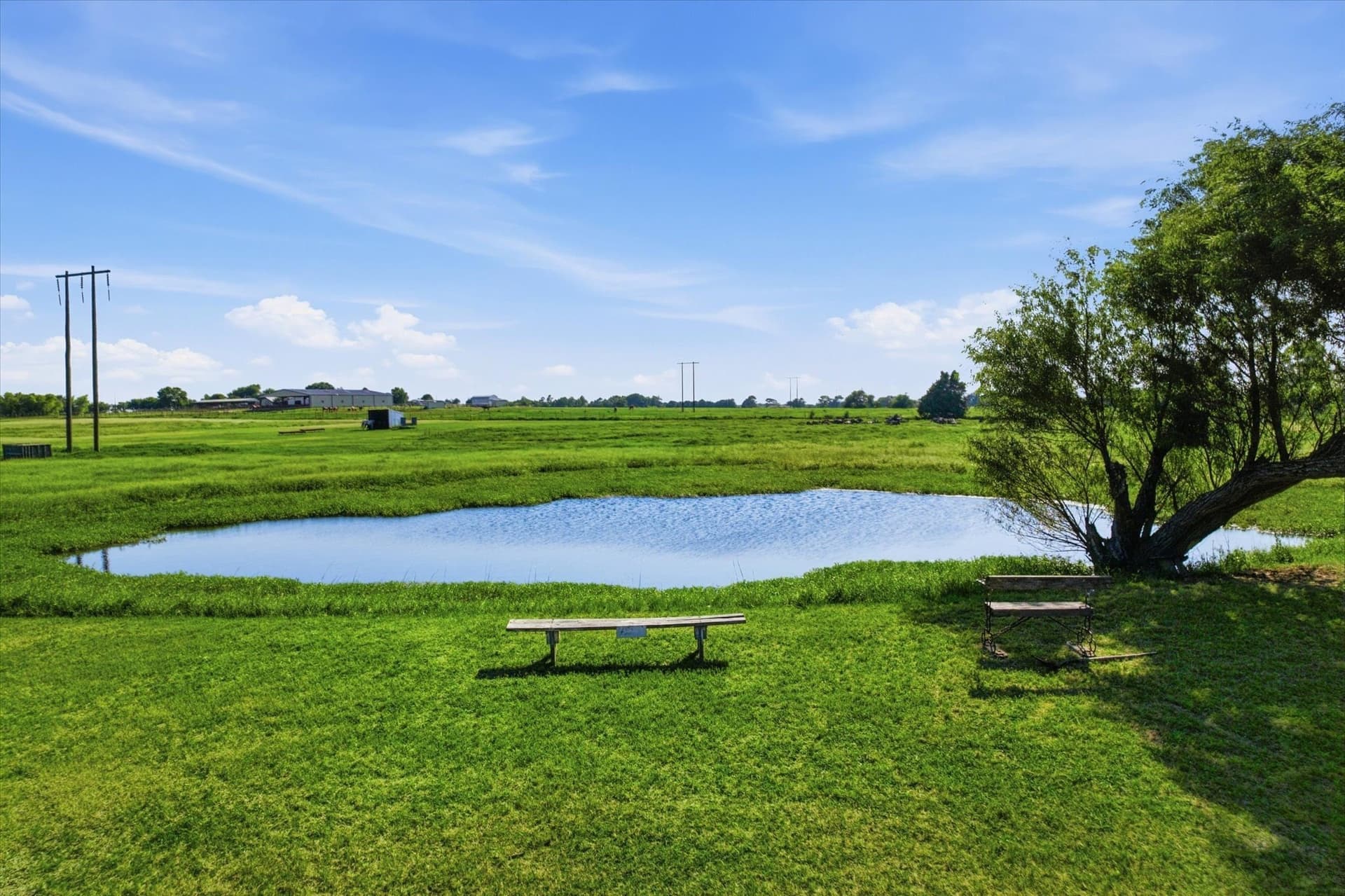 13.5 acres in Grayson County gallery image 4