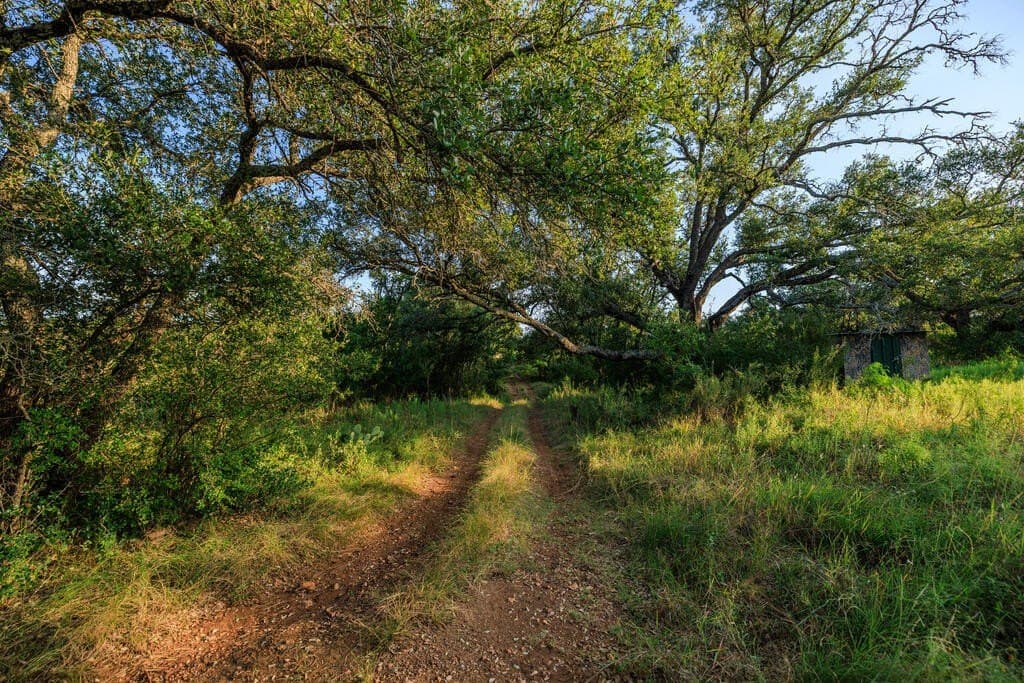 24 acres in Llano County - photo 30