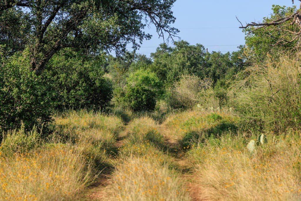 24 acres in Llano County - photo 26
