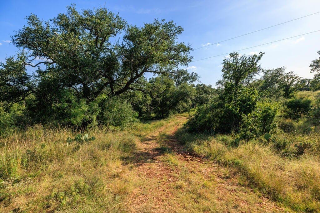 24 acres in Llano County - photo 28