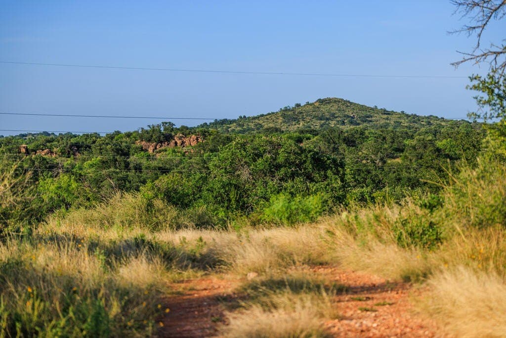 24 acres in Llano County - photo 29