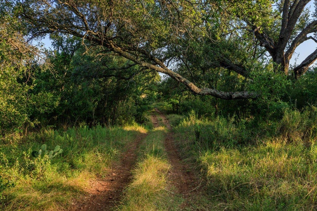 24 acres in Llano County - photo 31