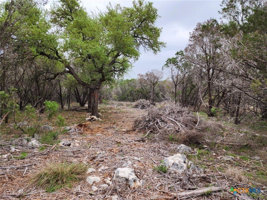 1.17 acres in Comal County gallery image 3