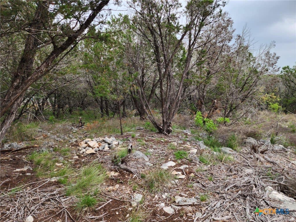 1.17 acres in Comal County featured view