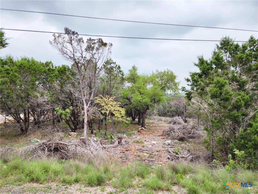 1.17 acres in Comal County gallery image 4