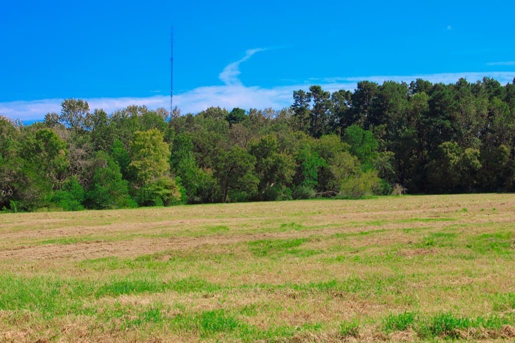42 acres in Texas County - photo 6