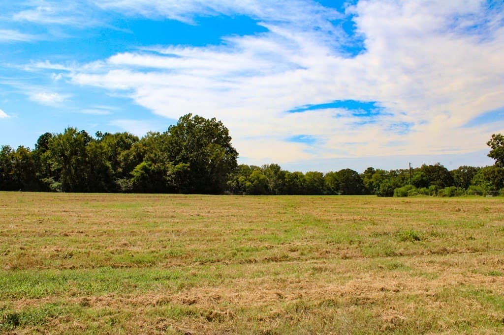 42 acres in Texas County - photo 9