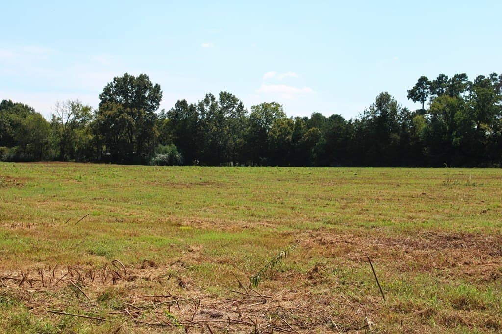 42 acres in Texas County - photo 7