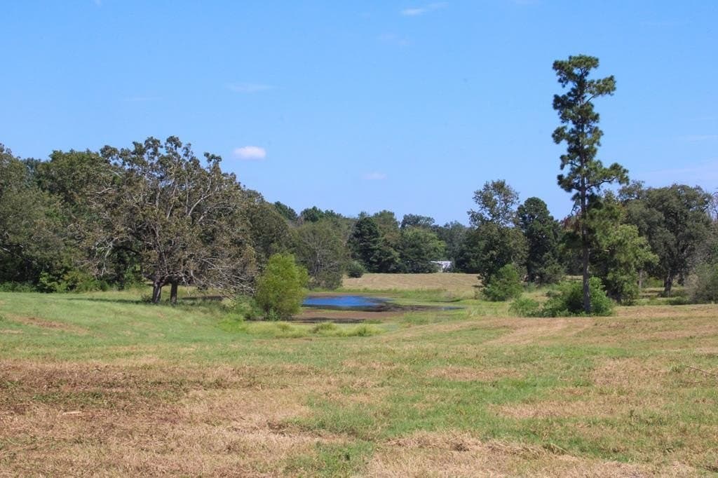 42 acres in Texas County gallery image 2