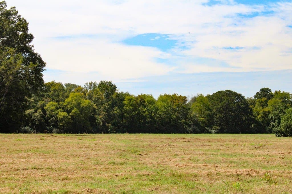 42 acres in Texas County - photo 8