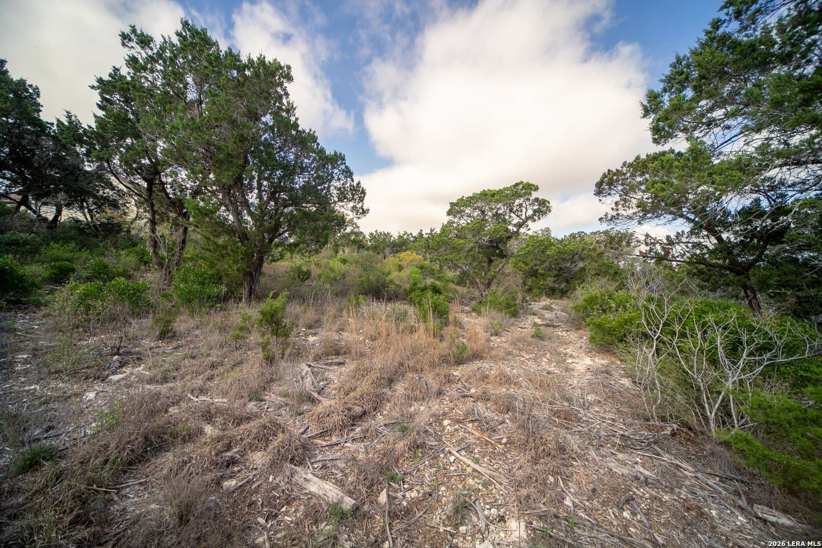 2 acres in Medina County - photo 14