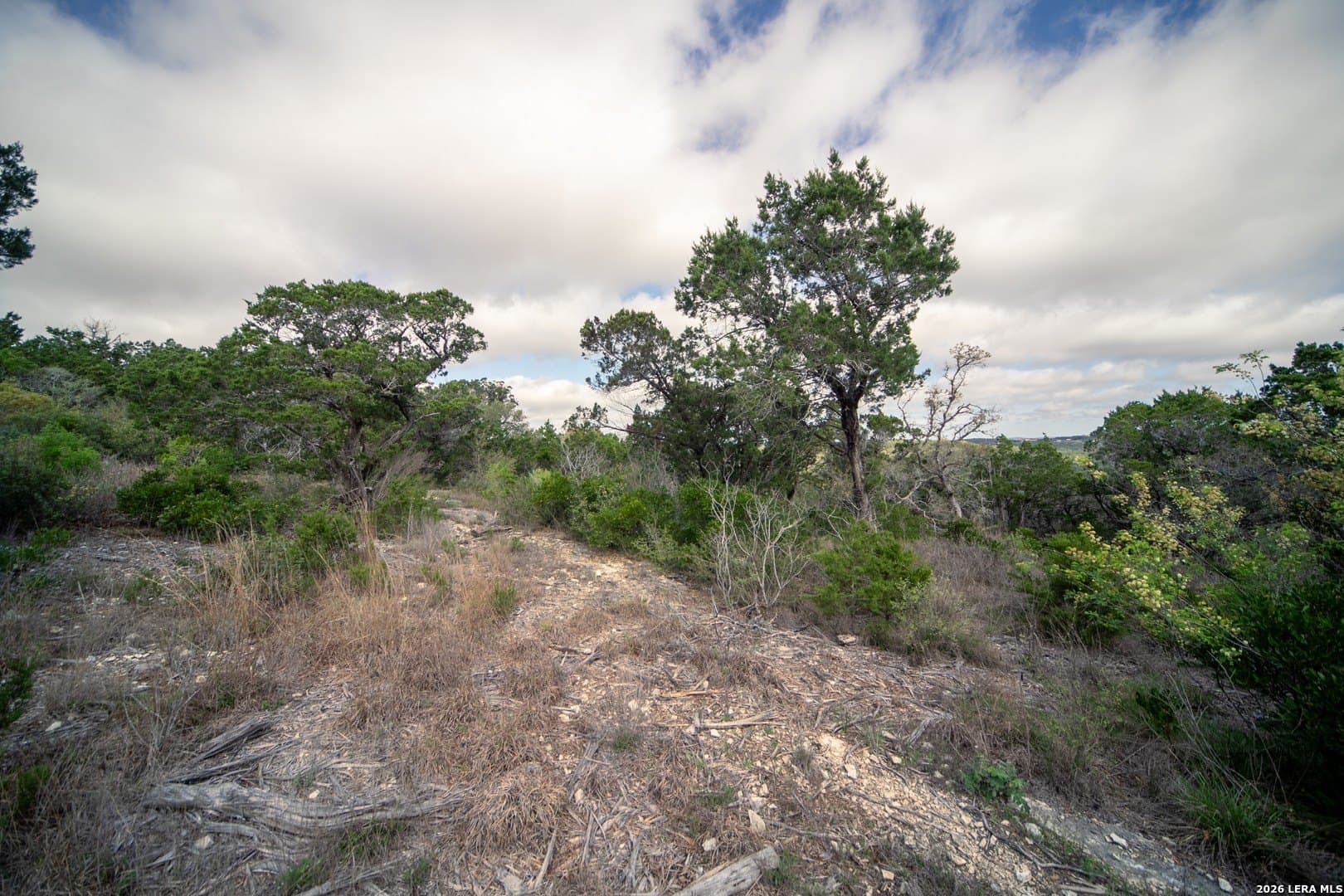 2 acres in Medina County - photo 11