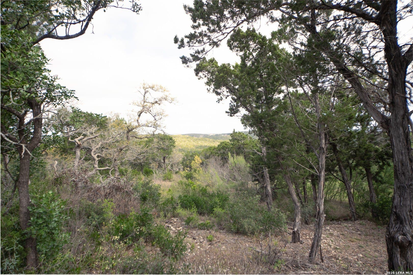 2 acres in Medina County - photo 10