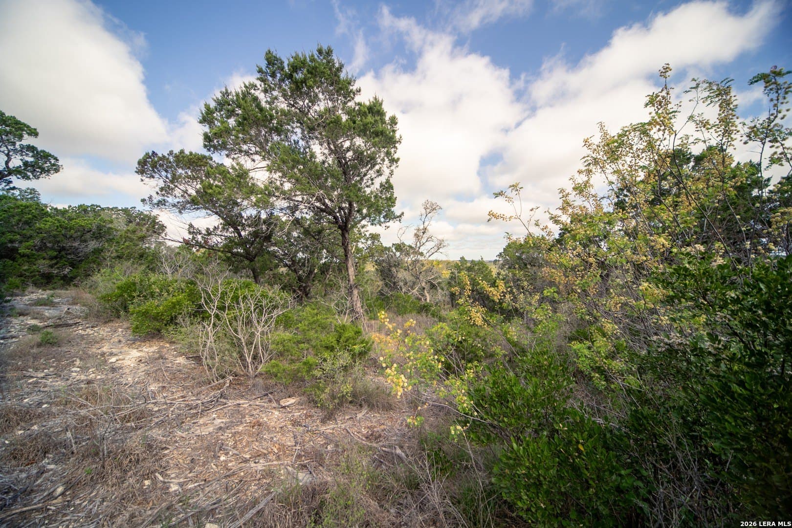 2 acres in Medina County - photo 15