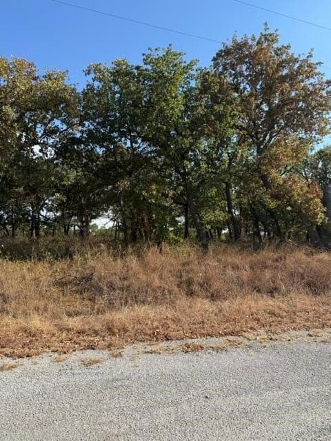 0.25 acres in Montague County - photo 2