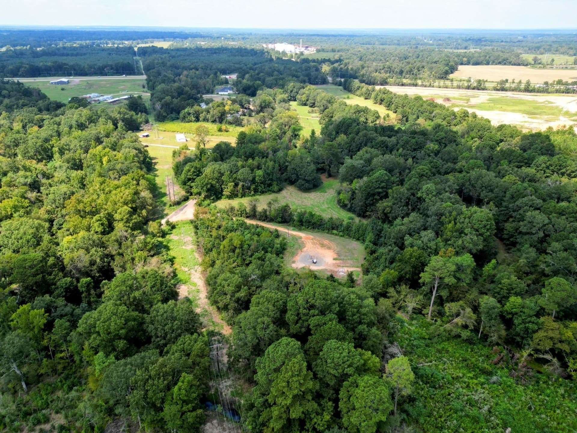 43.88 acres in Panola County gallery image 4