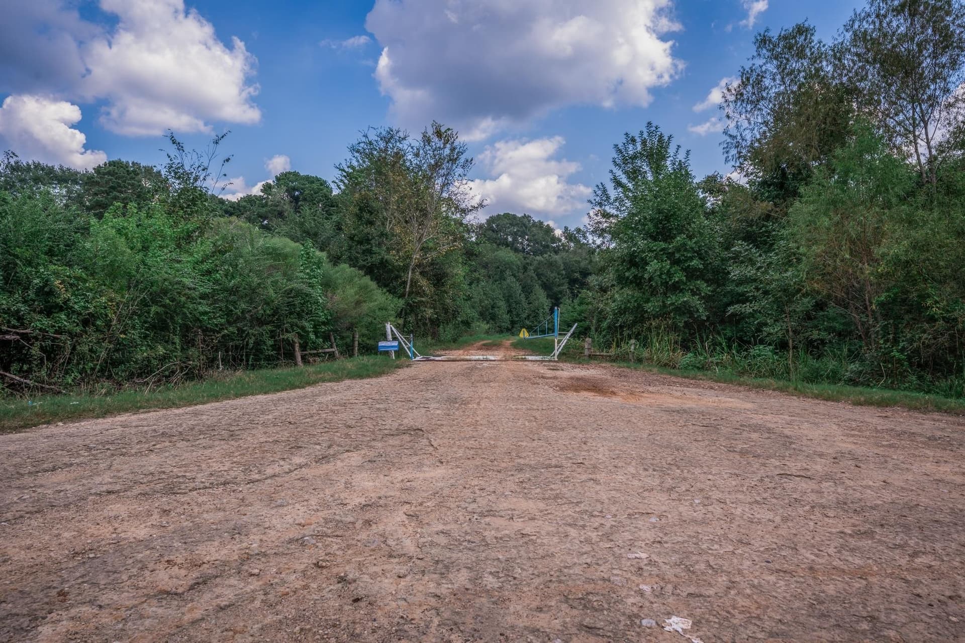43.88 acres in Panola County - photo 11