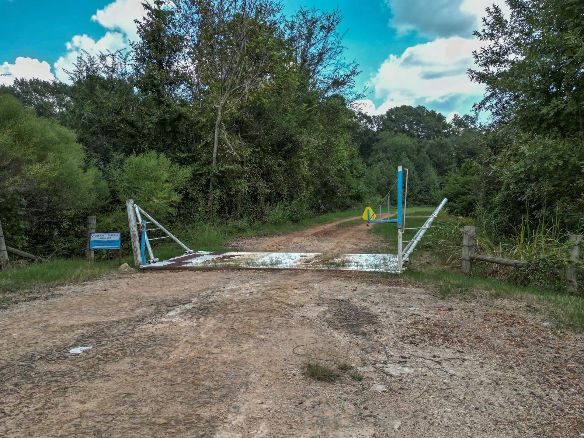 43.88 acres in Panola County featured view