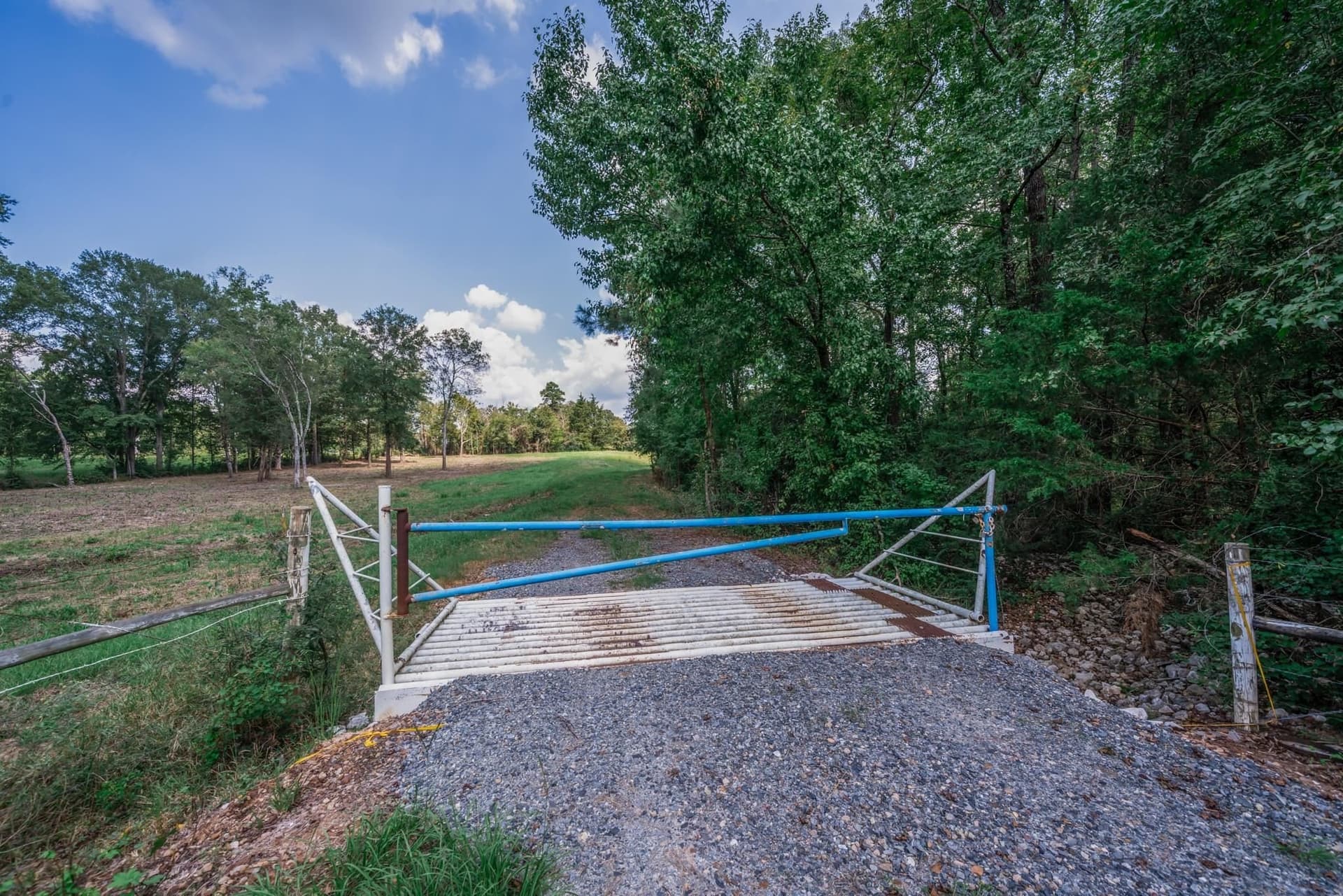 43.88 acres in Panola County - photo 13
