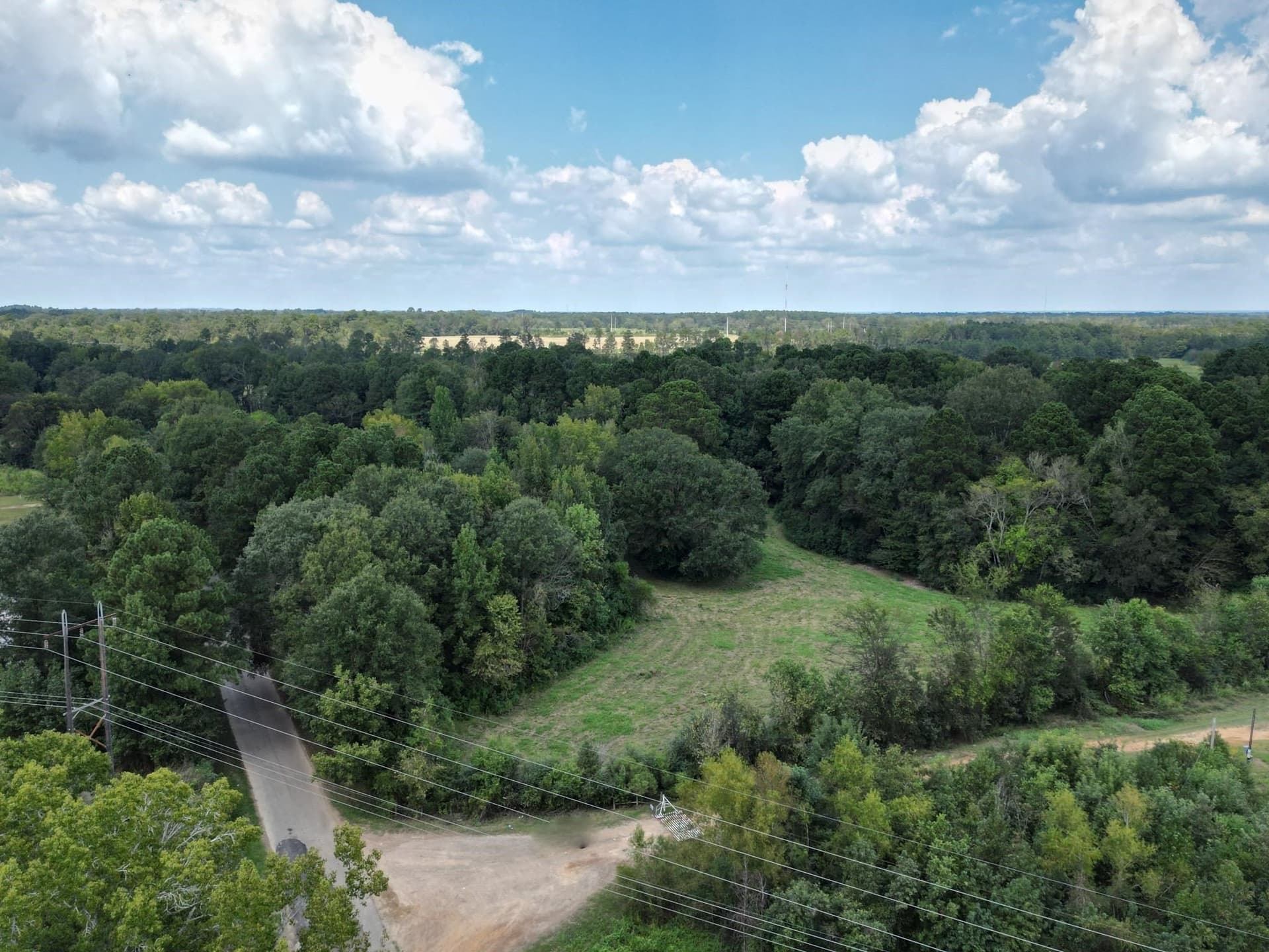 43.88 acres in Panola County gallery image 2
