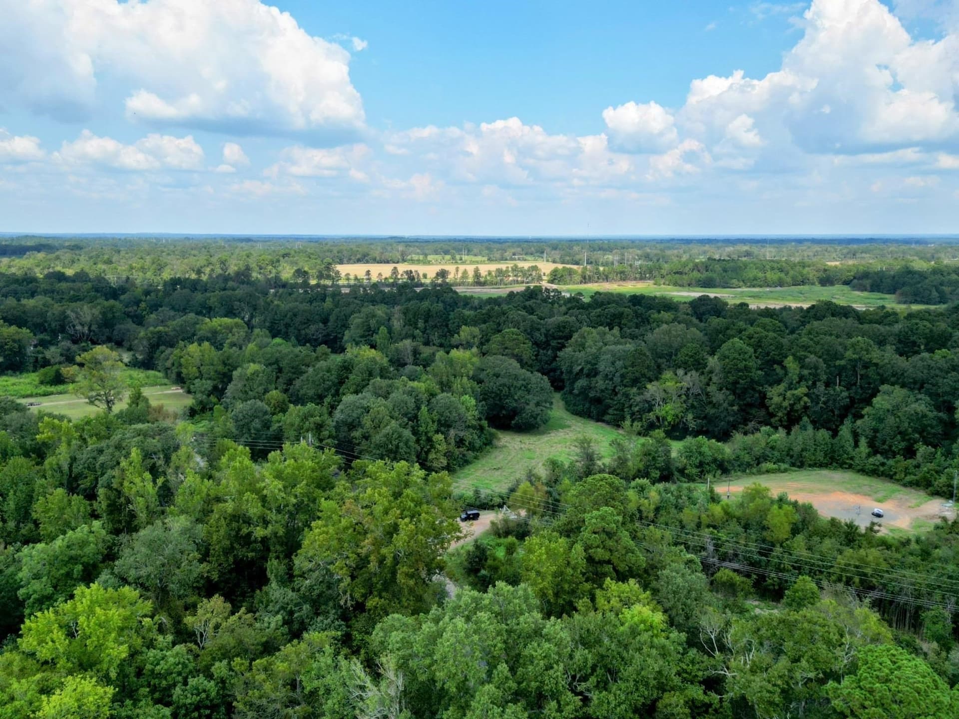 43.88 acres in Panola County - photo 15