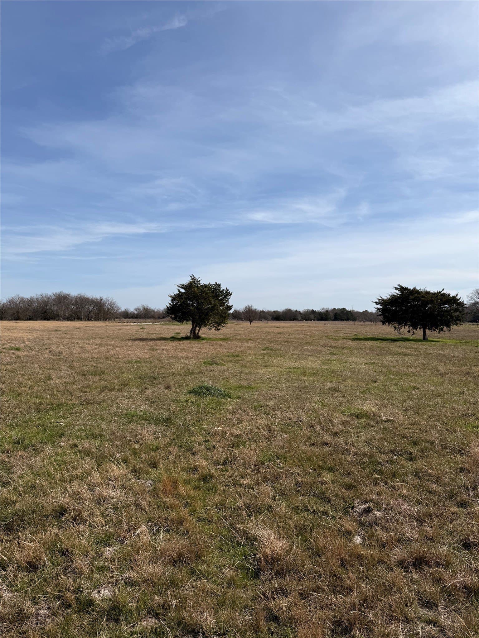 10.76 acres in Kaufman County gallery image 2