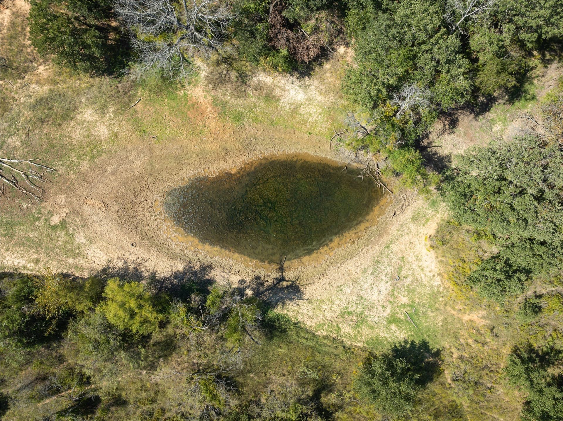 35.12 acres in Wise County gallery image 3