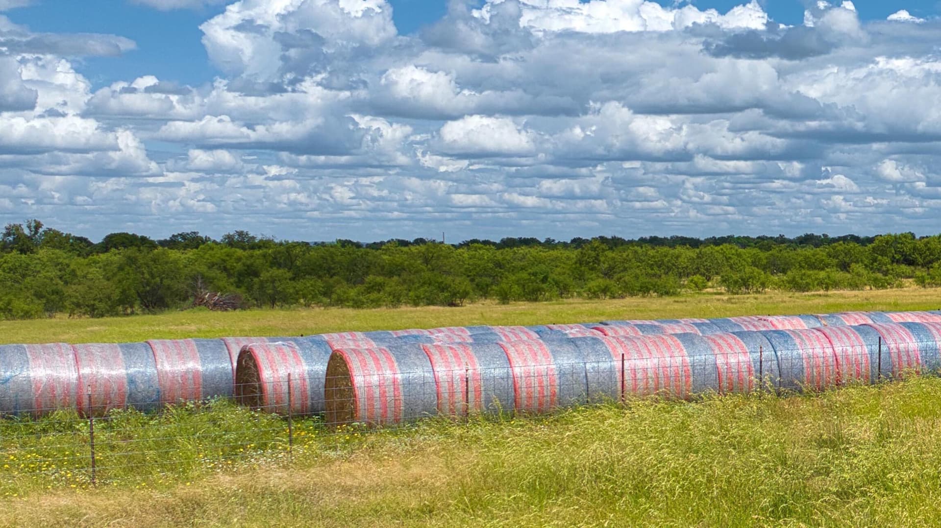 95.72 acres in Llano County - photo 25