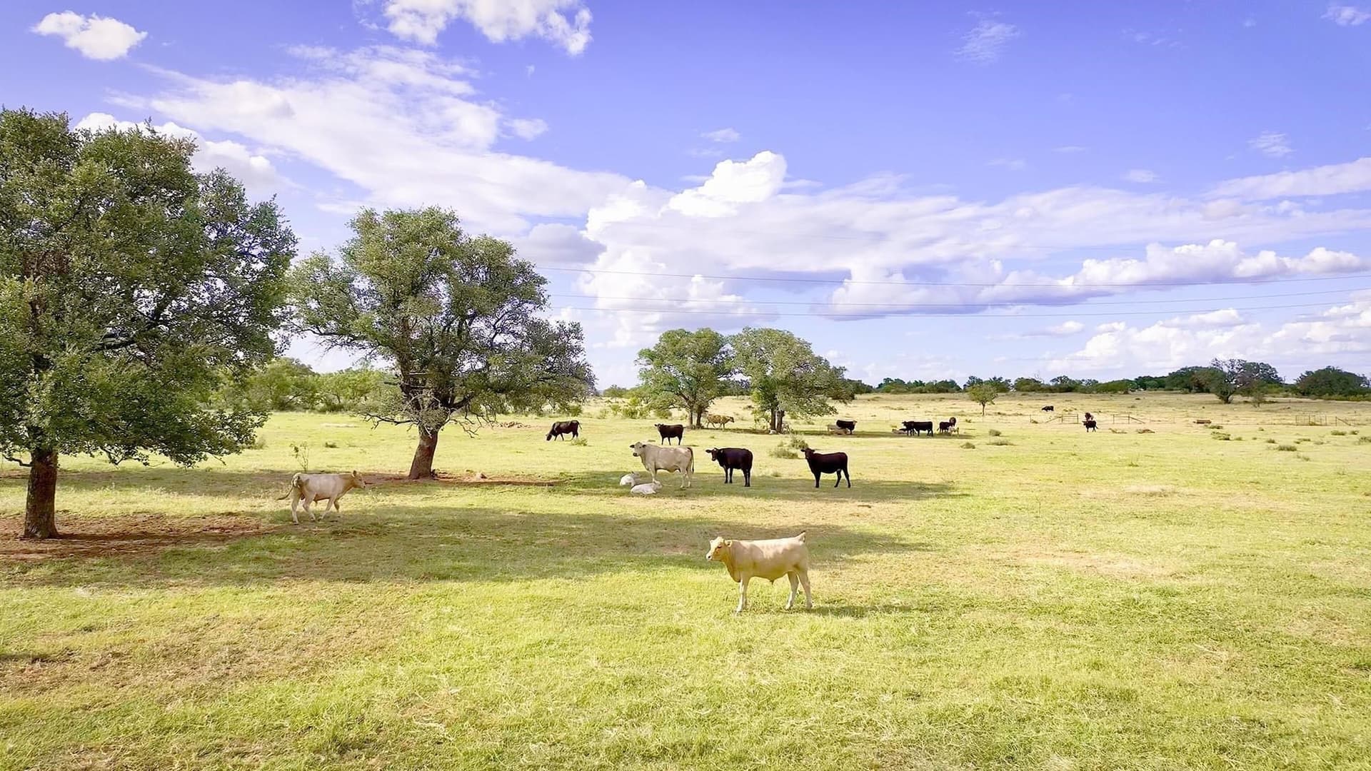 95.72 acres in Llano County - photo 24