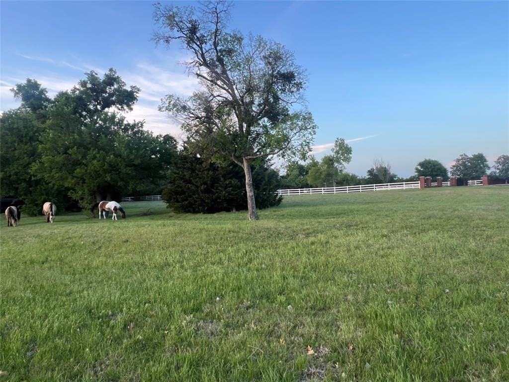 5 acres in Rockwall County gallery image 2