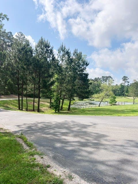 10 acres in Texas County gallery image 4