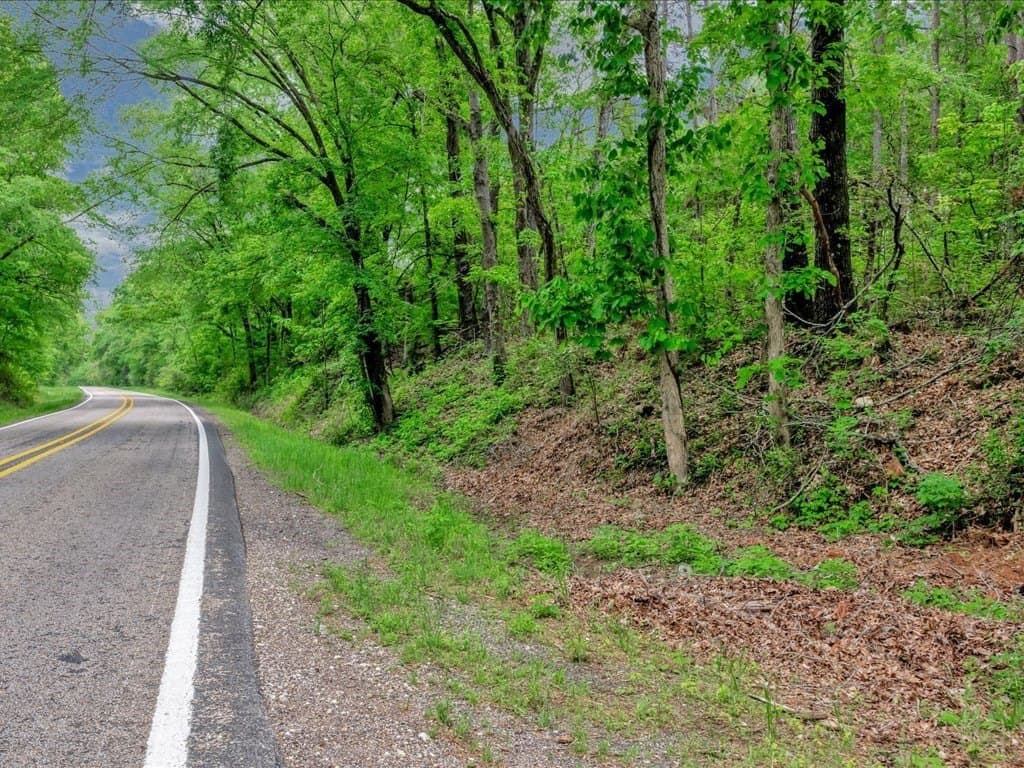 56.57 acres in Texas County gallery image 4