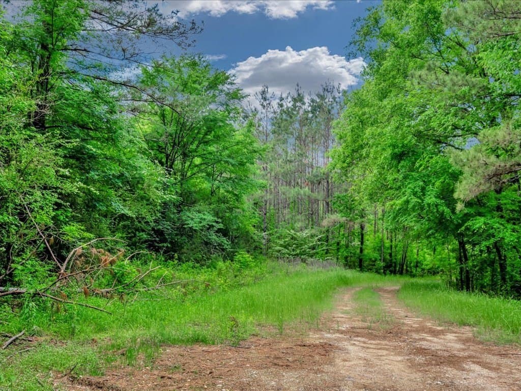 56.57 acres in Texas County gallery image 3