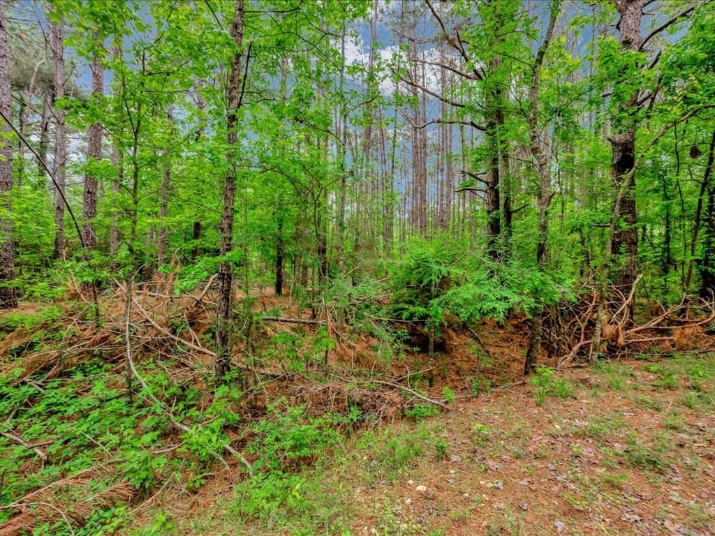 56.57 acres in Texas County featured view