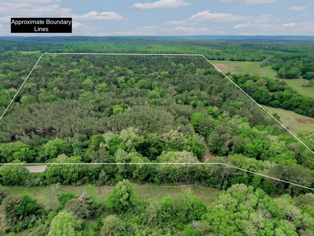 56.57 acres in Texas County gallery image 2