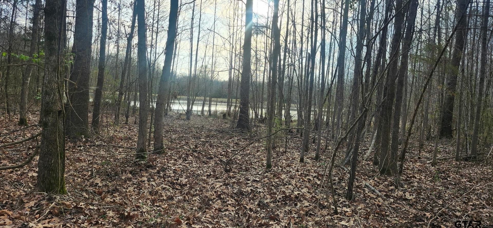 22.25 acres in Bowie County - photo 8