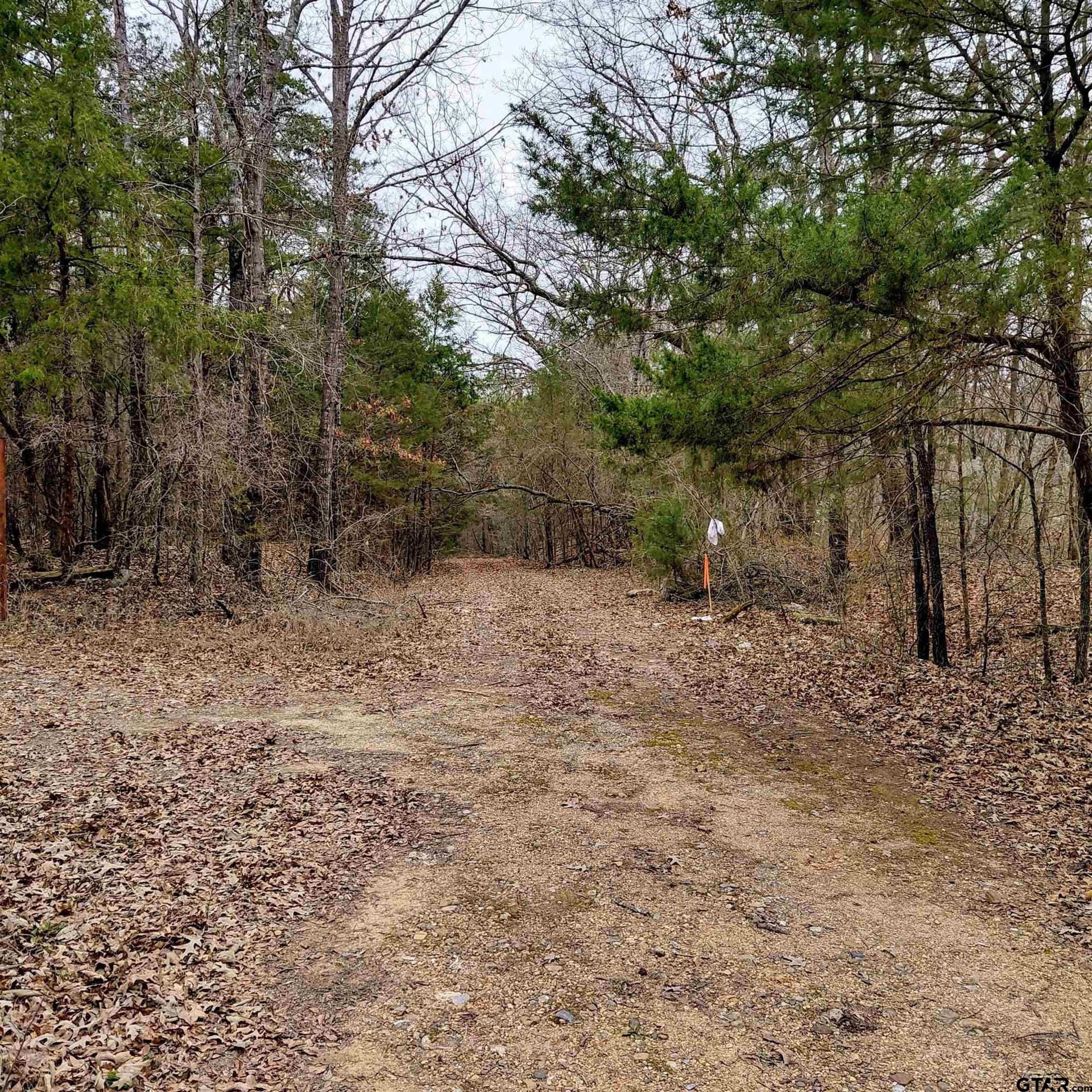 22.25 acres in Bowie County featured view