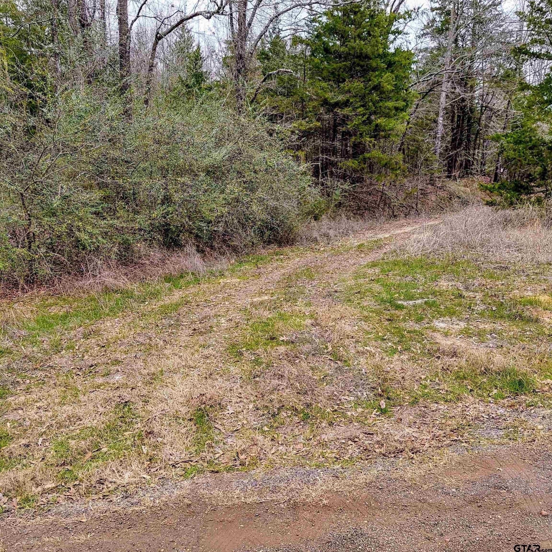 22.25 acres in Bowie County