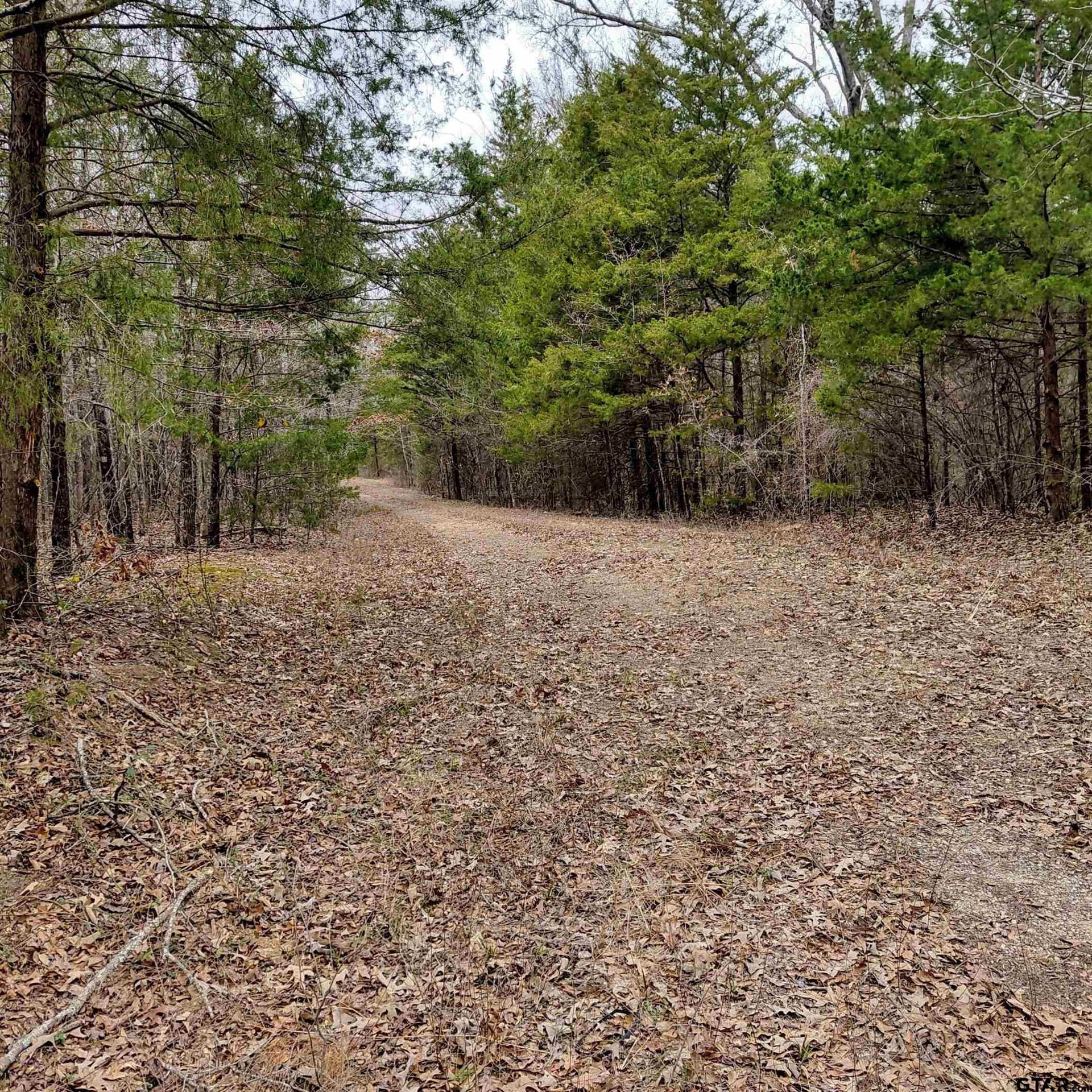 22.25 acres in Bowie County - photo 6