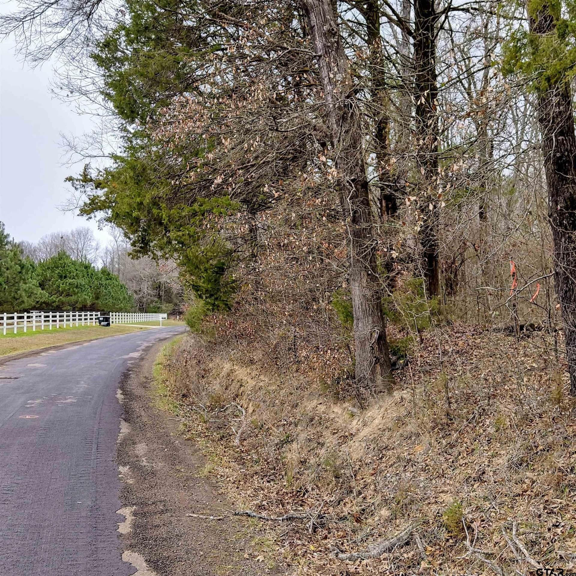 22.25 acres in Bowie County gallery image 2