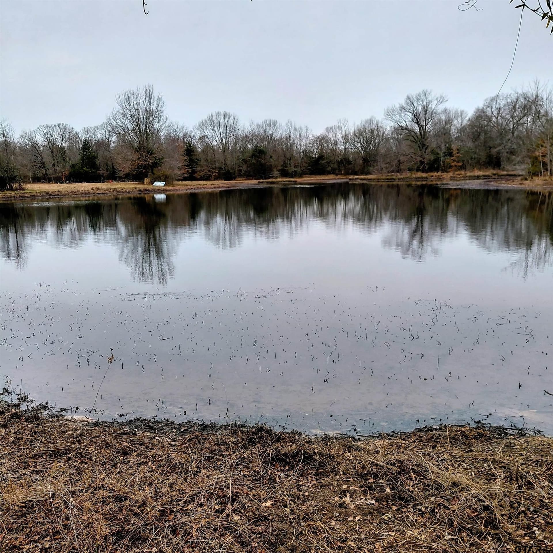 22.25 acres in Bowie County - photo 9