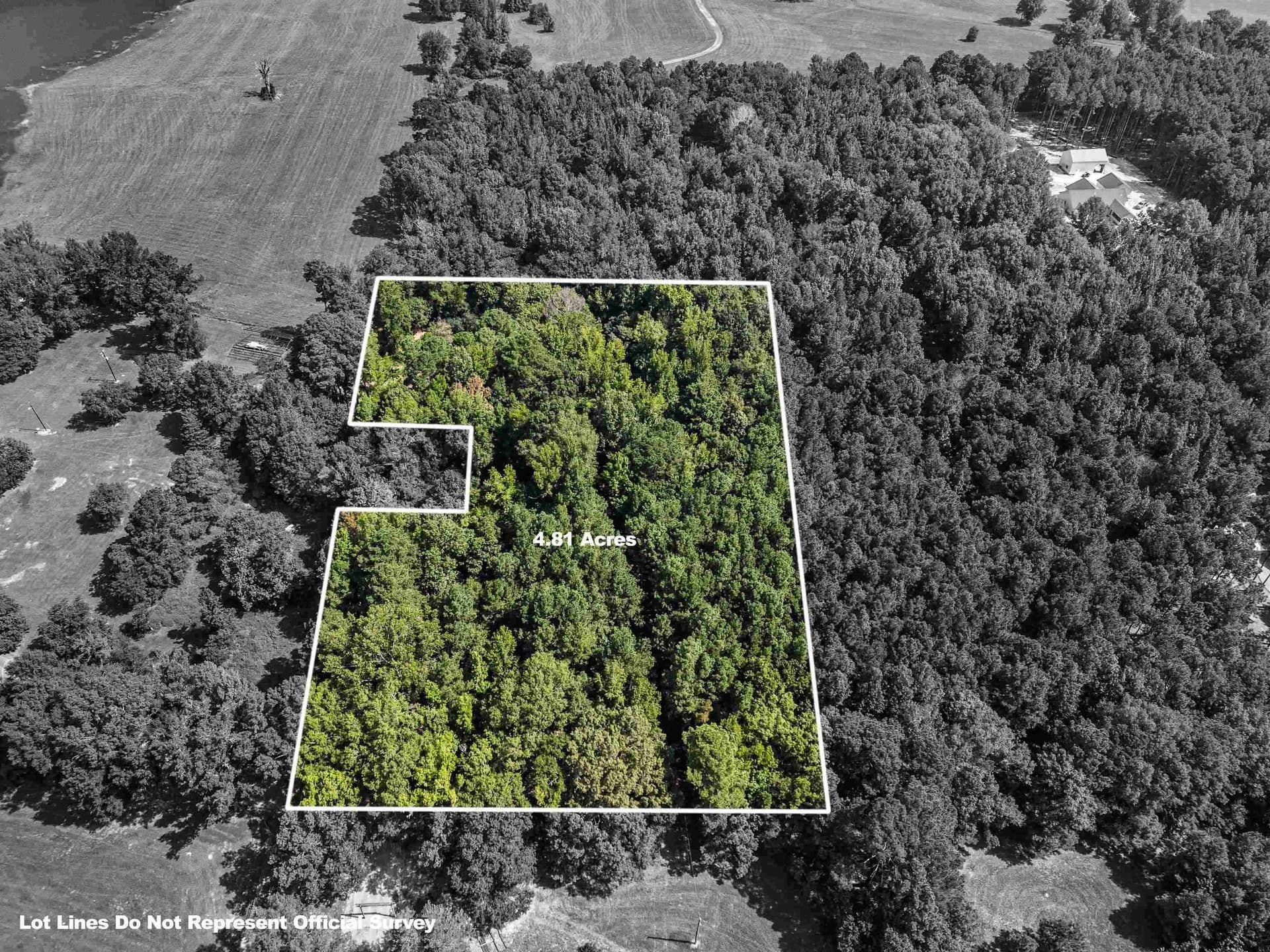 4.81 acres in Marion County gallery image 3