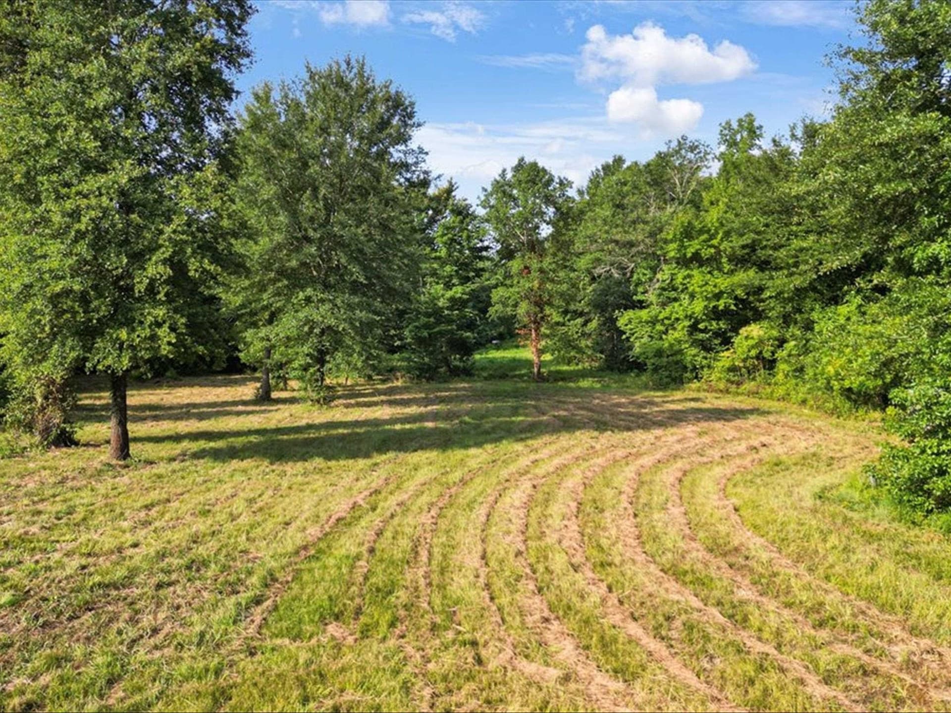 67 acres in Upshur County - photo 10